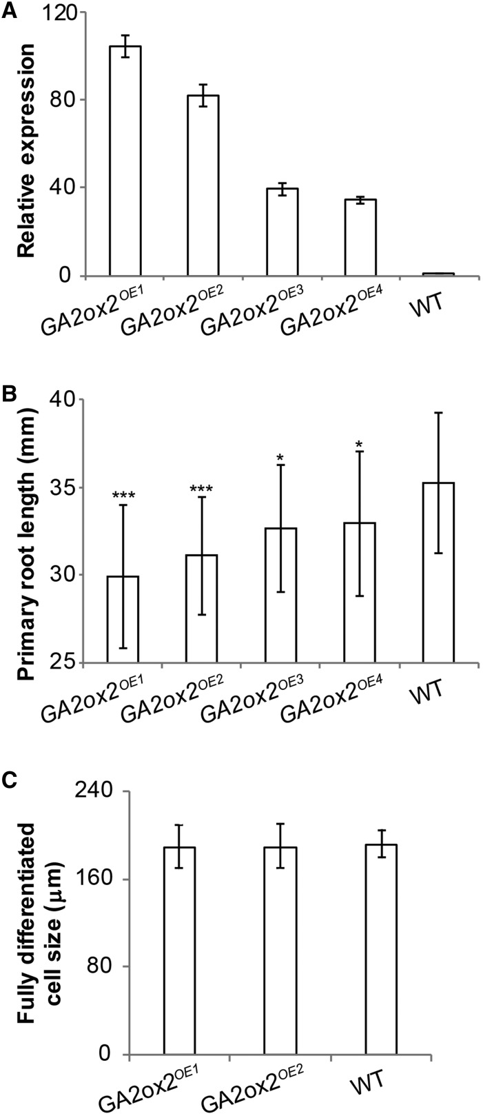 Figure 6.