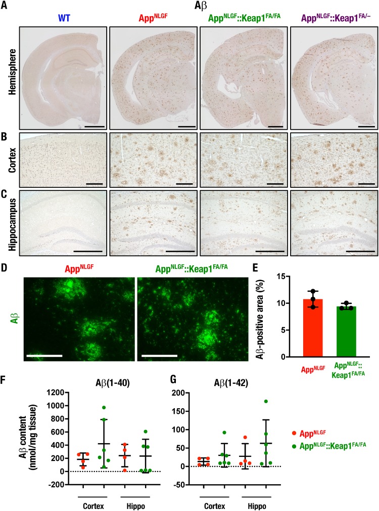 FIG 9