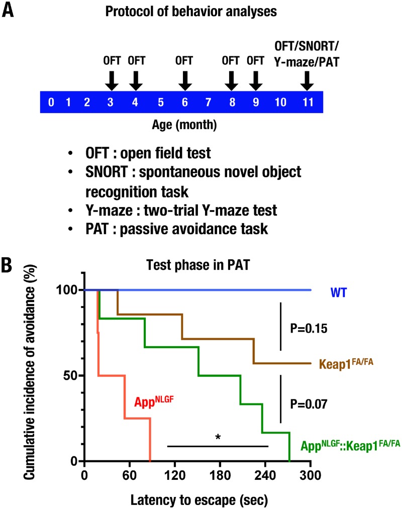 FIG 2