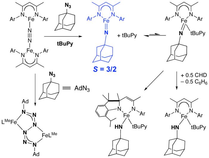 Scheme 3