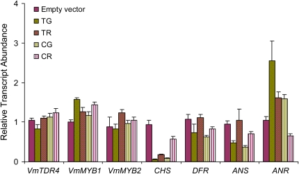 Figure 7.