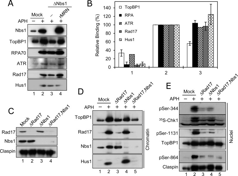 FIGURE 3: