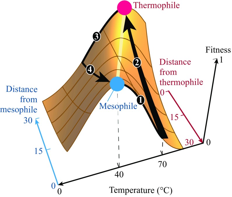 Fig. 4.