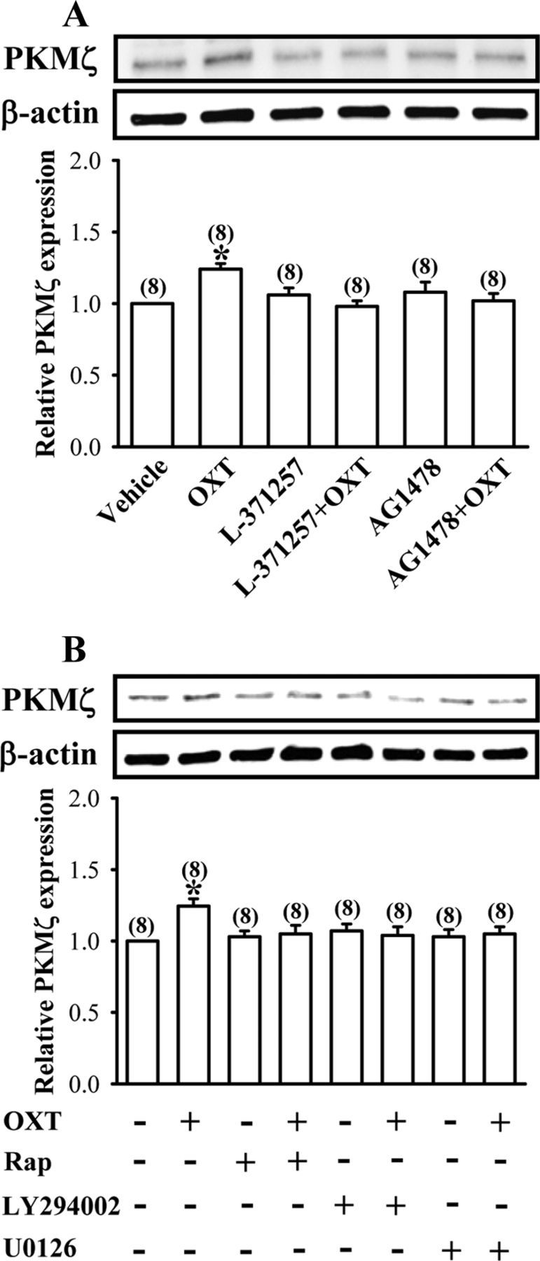 Figure 9.