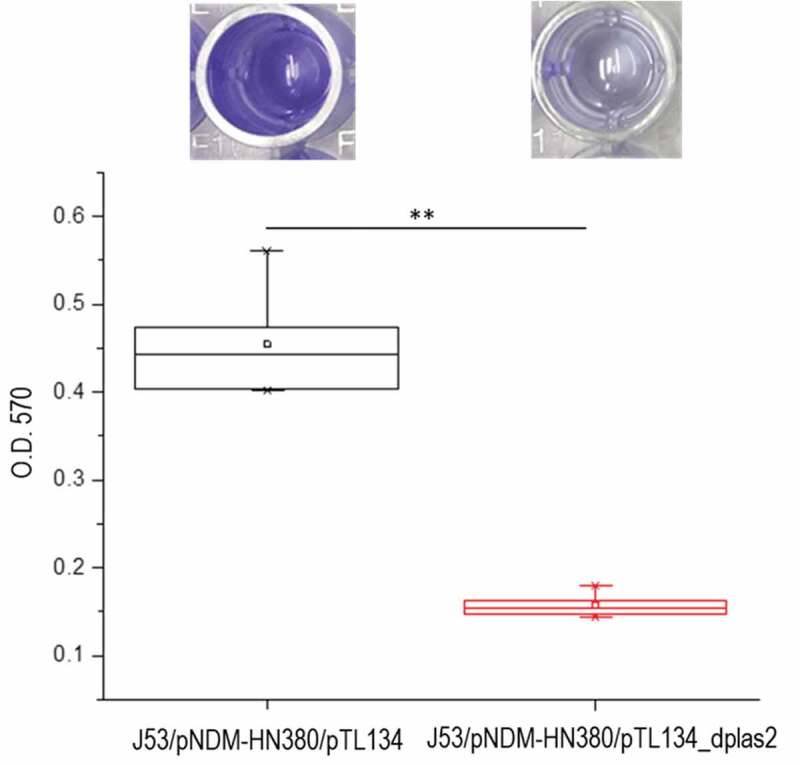 Figure 5.