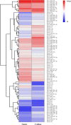 Fig 7