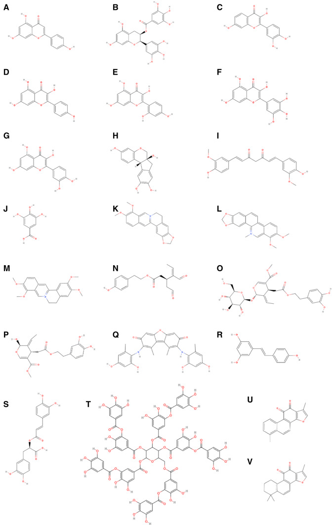 Fig. 2