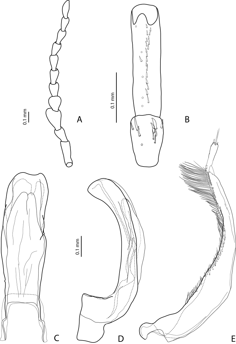 Figure 7.