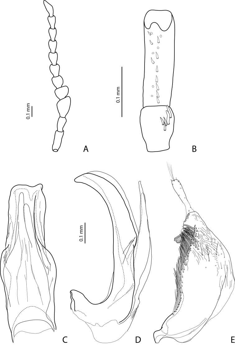 Figure 9.