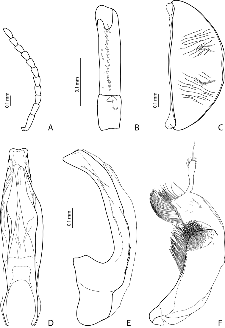 Figure 14.