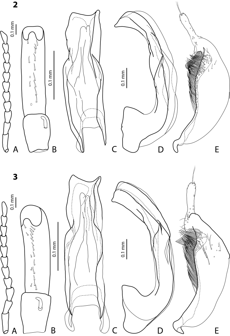 Figures 2–3.