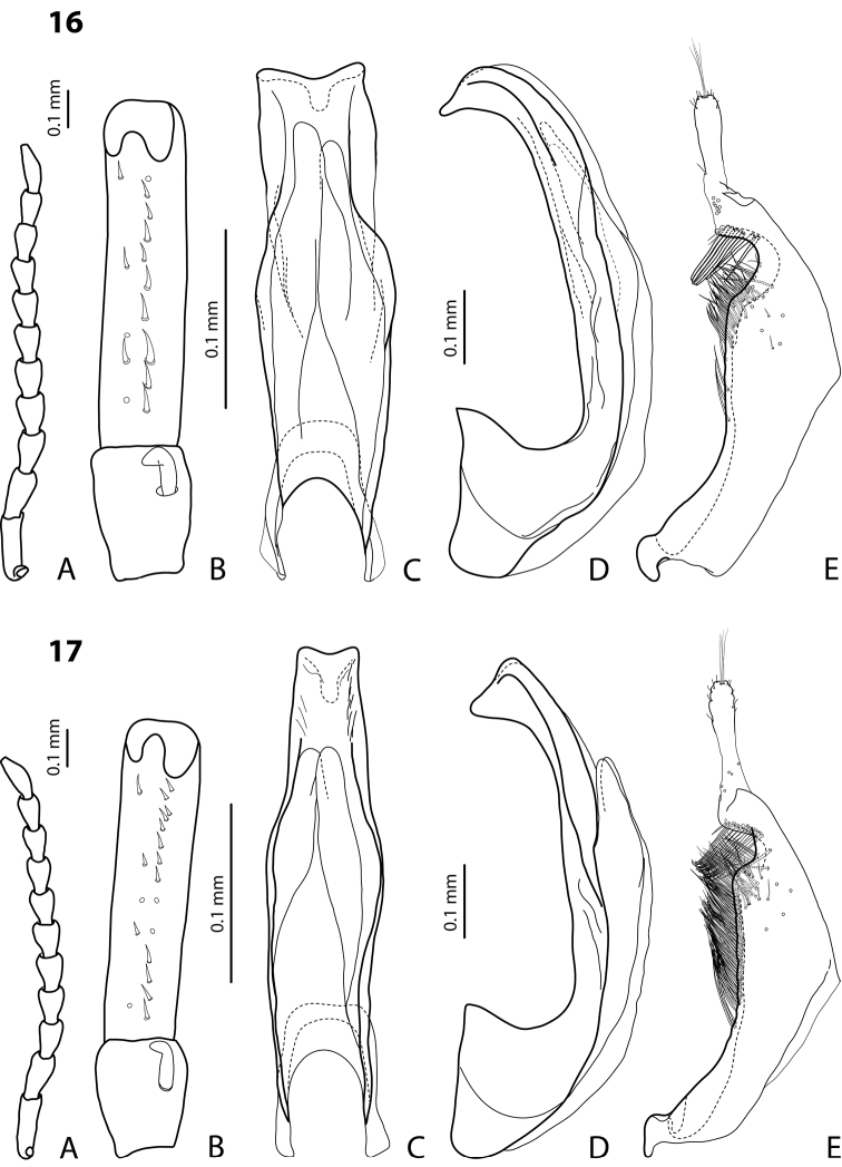 Figures 16–17.