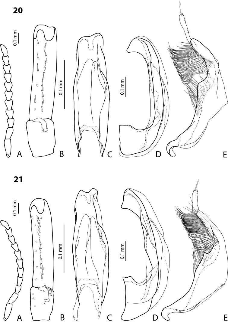 Figures 20–21.