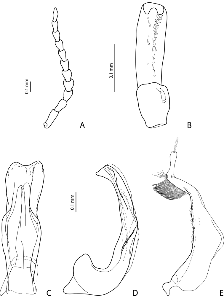 Figure 5.