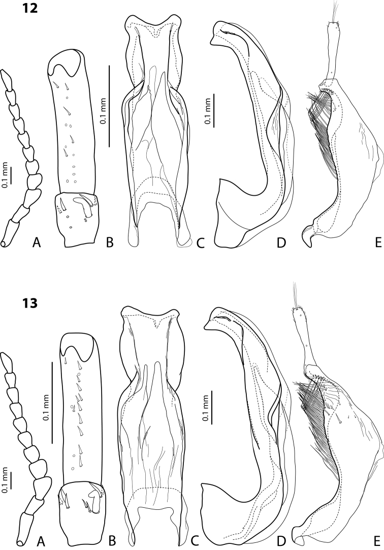 Figures 12–13.