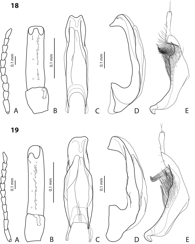 Figures 18–19.