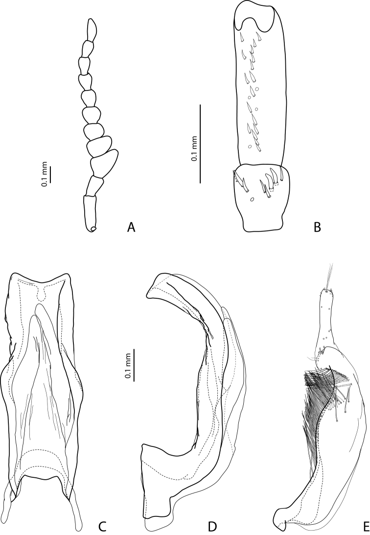 Figure 8.