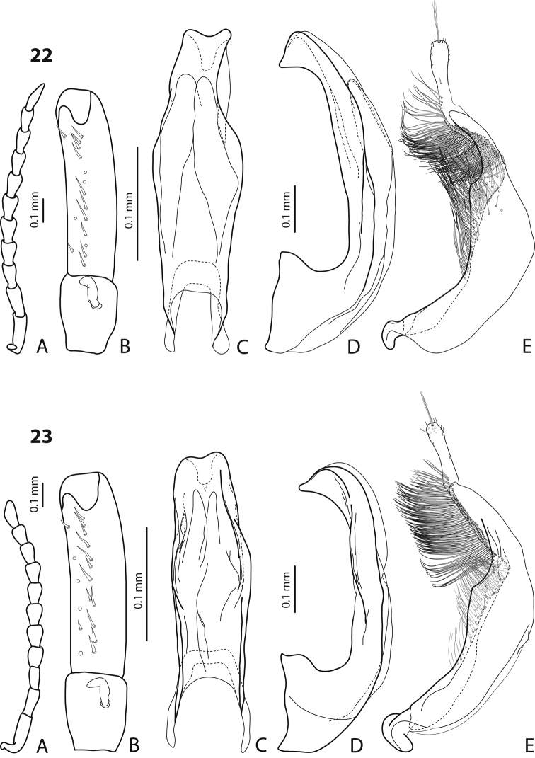 Figures 22–23.