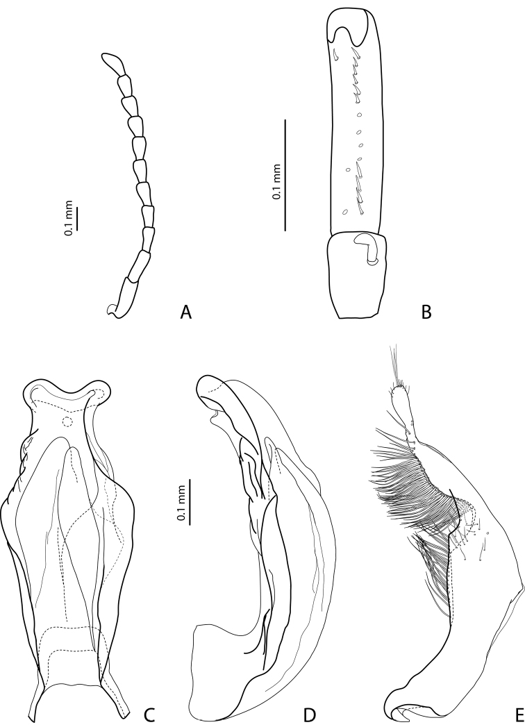 Figure 15.