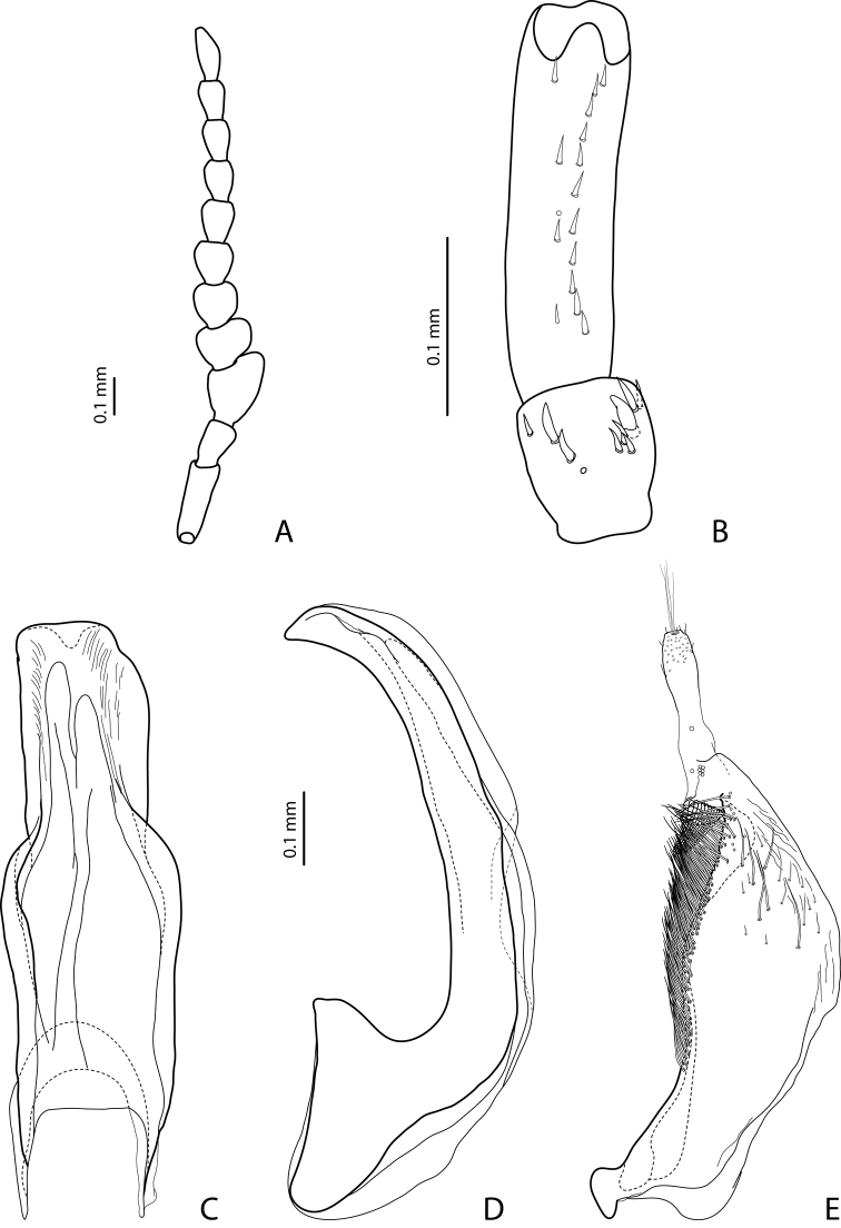 Figure 10.