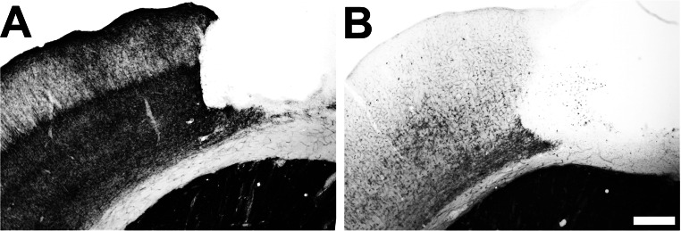 Fig. S1.