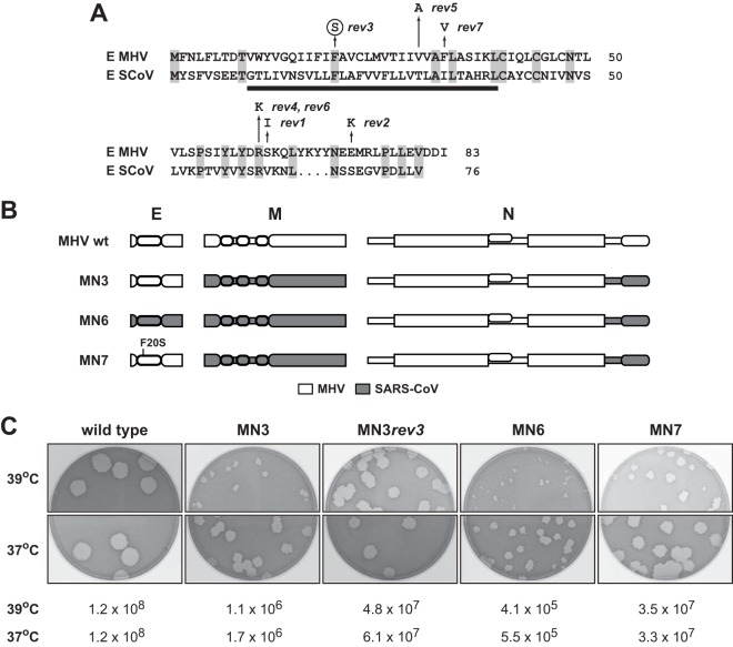 FIG 3