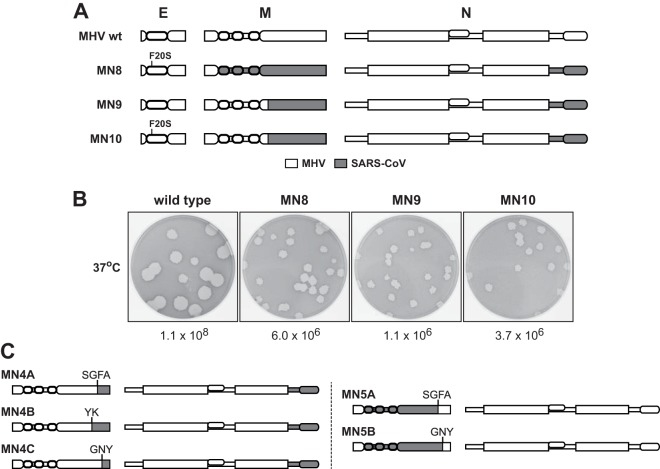 FIG 4