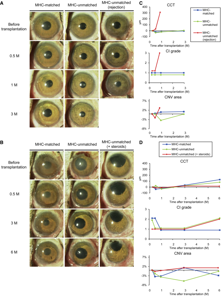 Figure 3