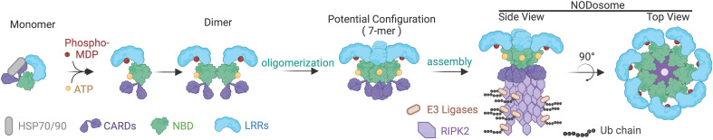 Figure 2