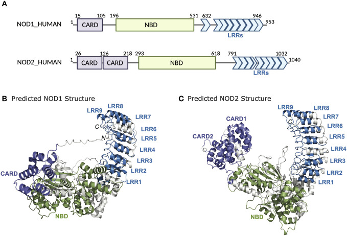 Figure 1