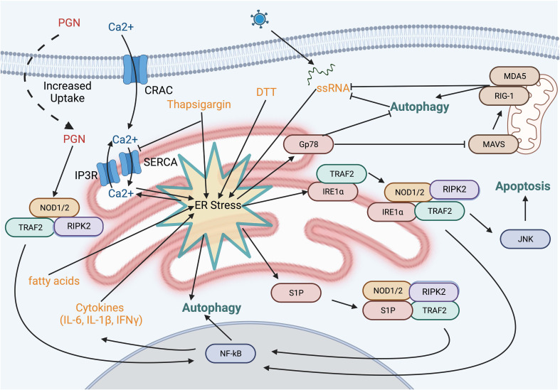 Figure 4