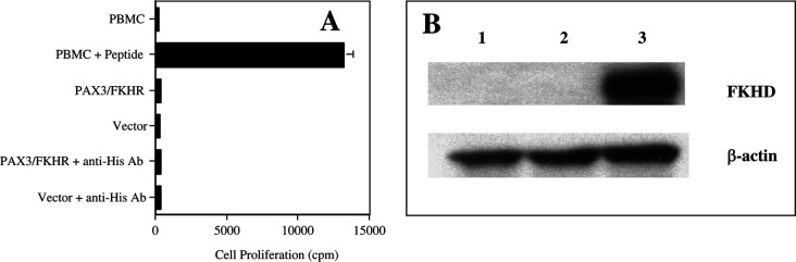 Fig. 5