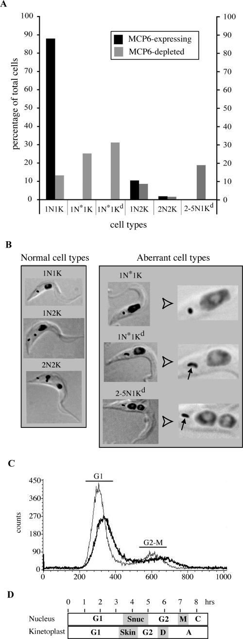 FIG. 6.