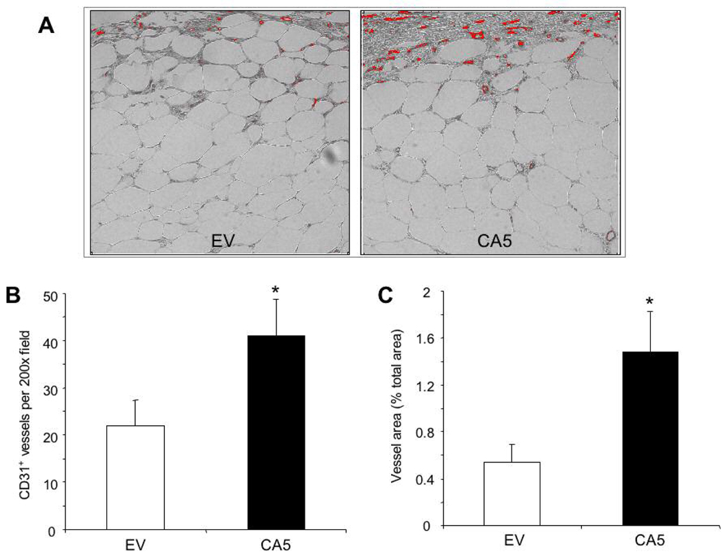 Fig. 8