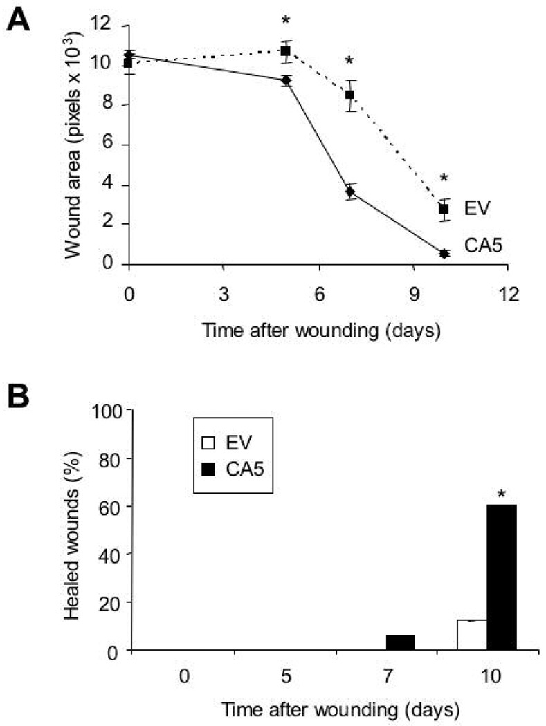 Fig. 7