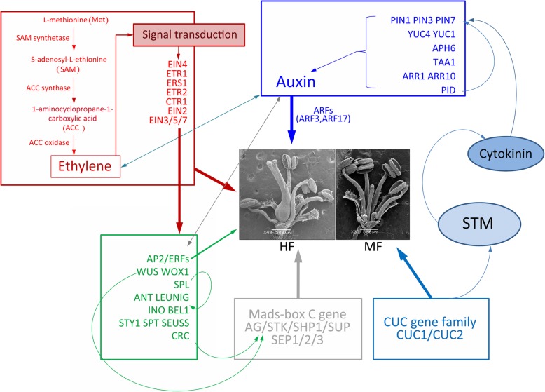 Fig. 11