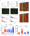 Figure 3—figure supplement 1.