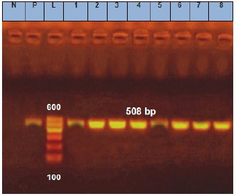 Fig. 5.