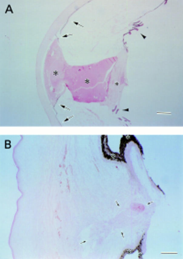 Figure 3  