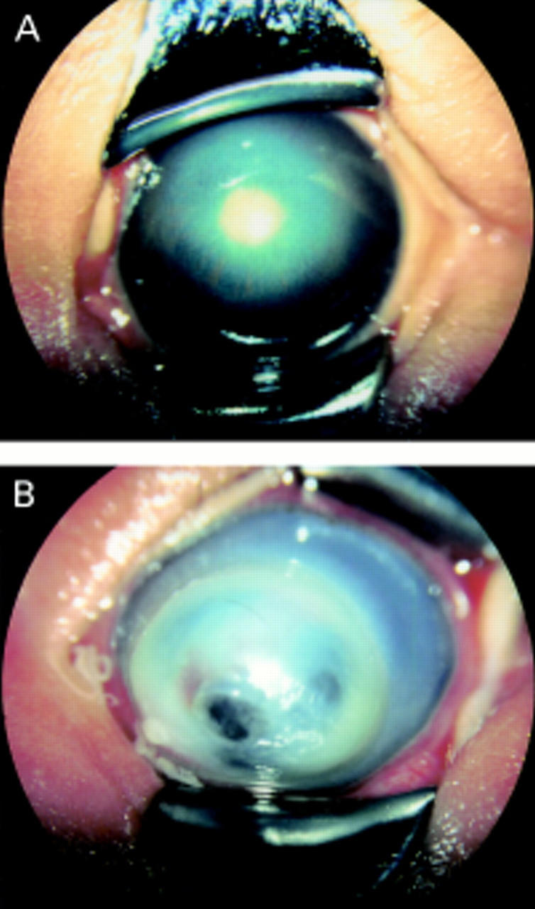 Figure 1  