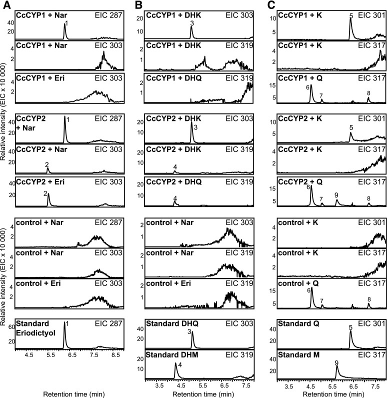 Figure 4.