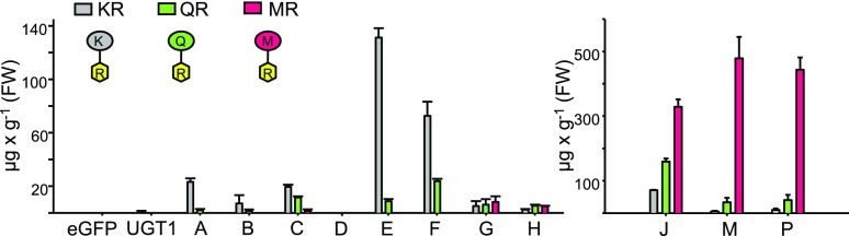 Figure 6.