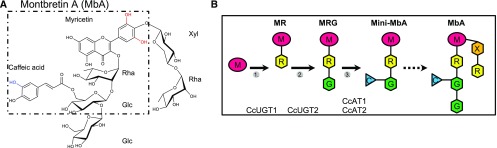 Figure 1.