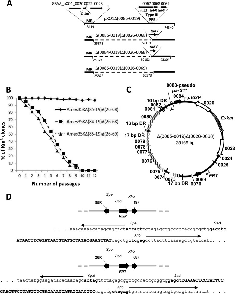 FIG 2