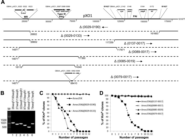 FIG 1