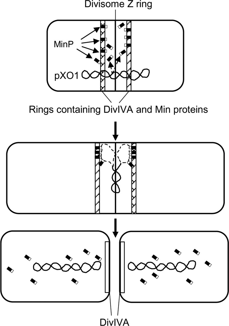 FIG 6