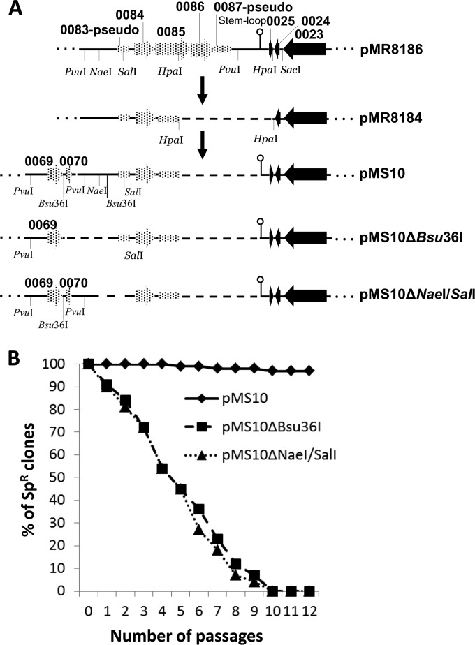 FIG 3