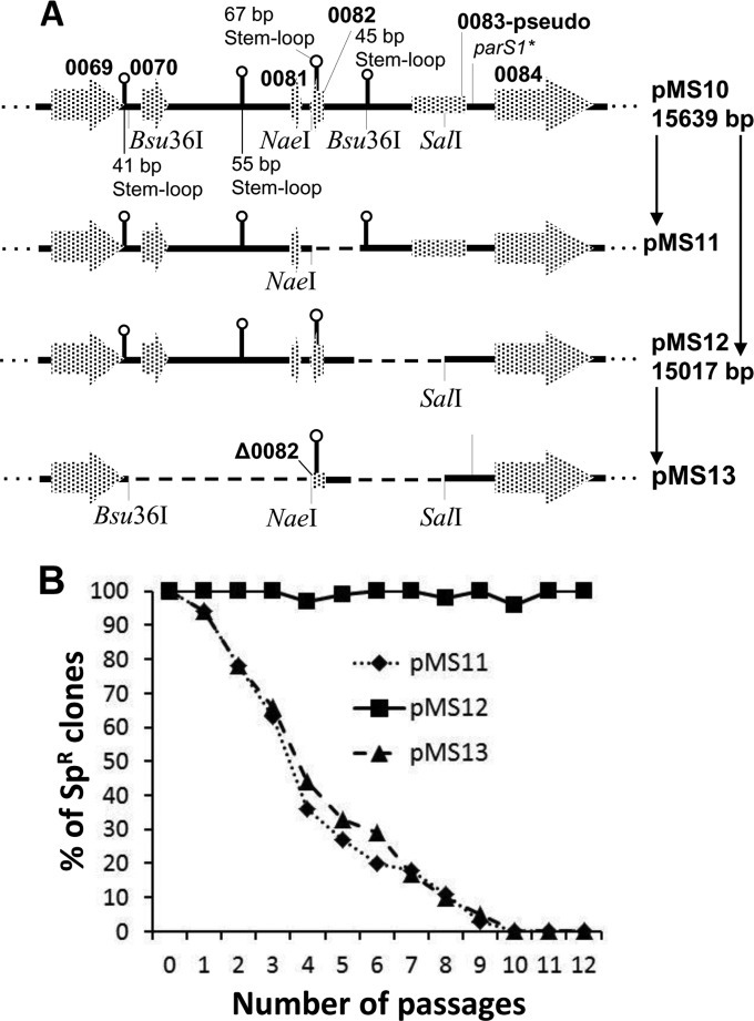 FIG 4