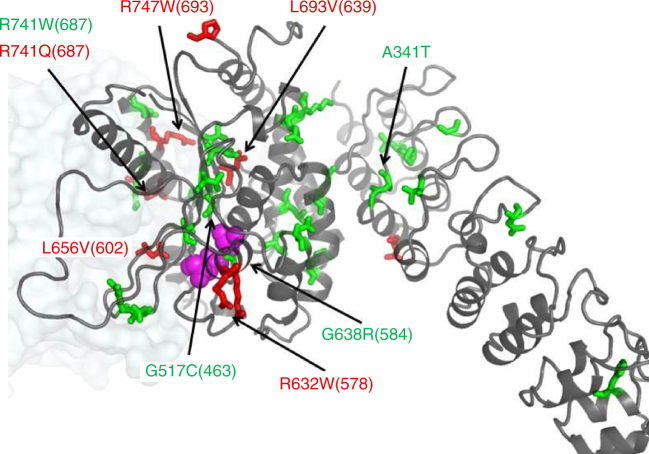 Fig. 6