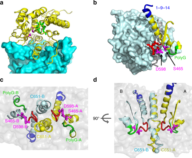 Fig. 3